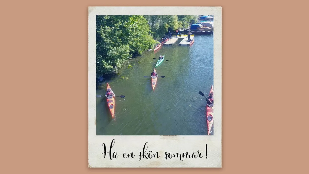 MetaSolutions sommar