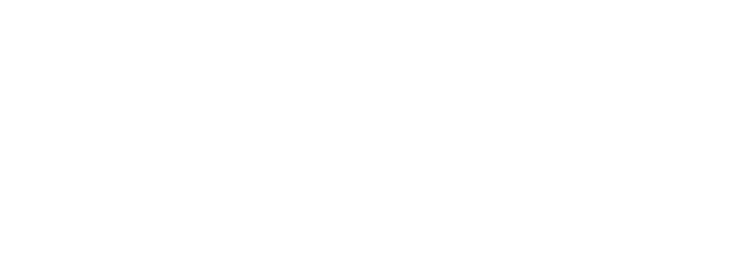 MetaSolutions logotyp i vitt
